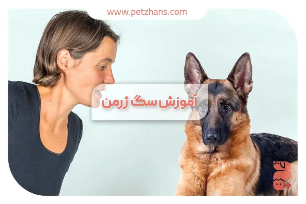 روش‌های اموزش سگ ژرمن